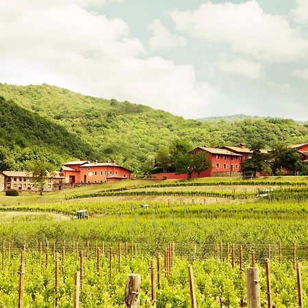 Agriturismo L'Uva E Le Stelle Faedis Eksteriør bilde