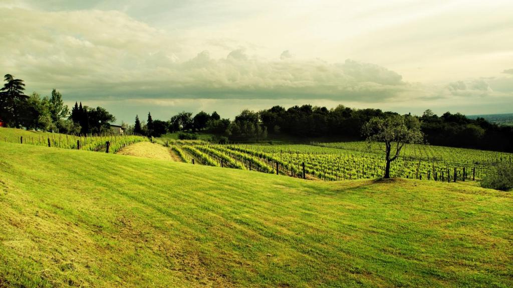 Agriturismo L'Uva E Le Stelle Faedis Eksteriør bilde