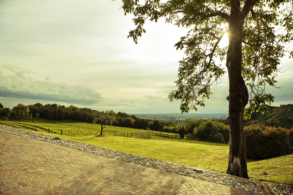 Agriturismo L'Uva E Le Stelle Faedis Eksteriør bilde
