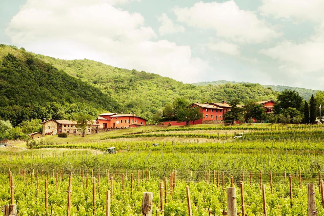 Agriturismo L'Uva E Le Stelle Faedis Eksteriør bilde